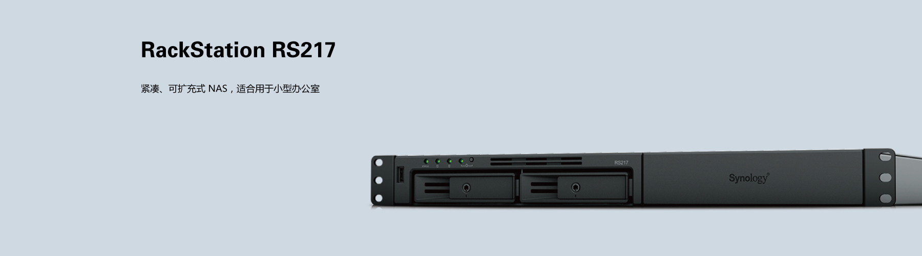 Synology RS217